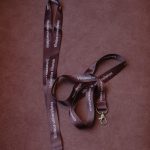 Vilnius University neckband