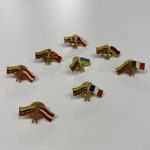 Pin Lithuania - Other countries