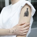 Tatuiruotės VU bibliotekos fondų